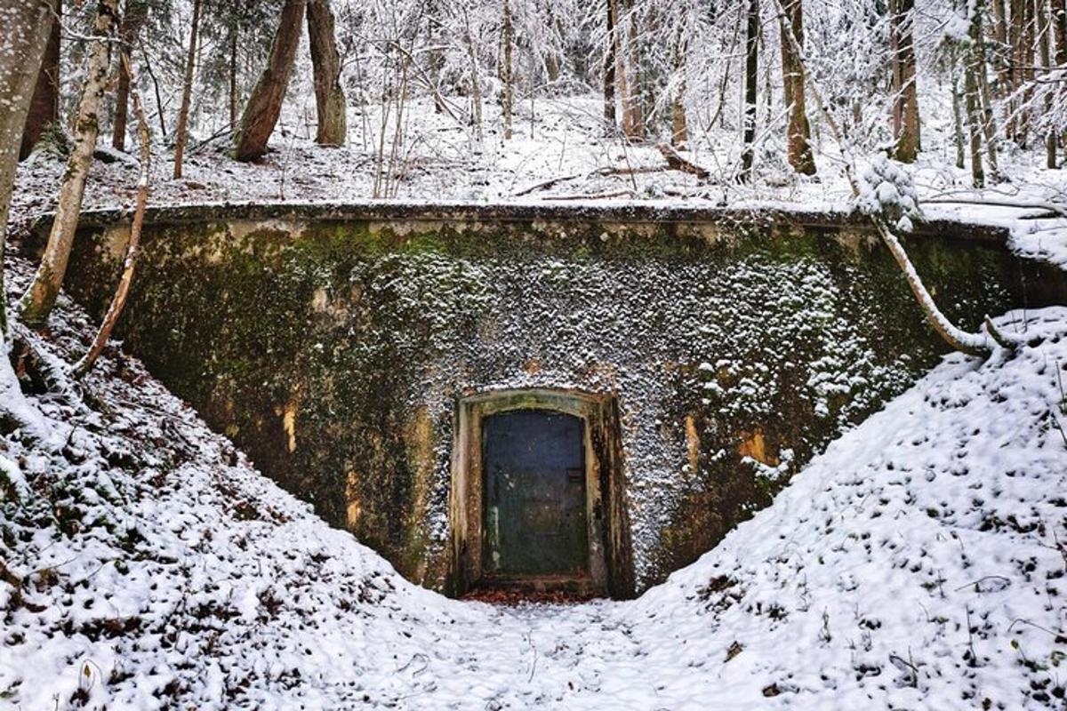 a door in the middle of a snow covered forest