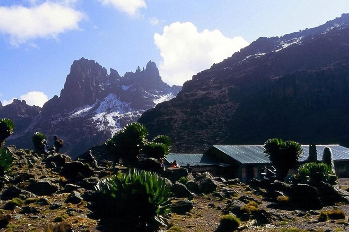 una vista di una montagna con una casa e dei cactus