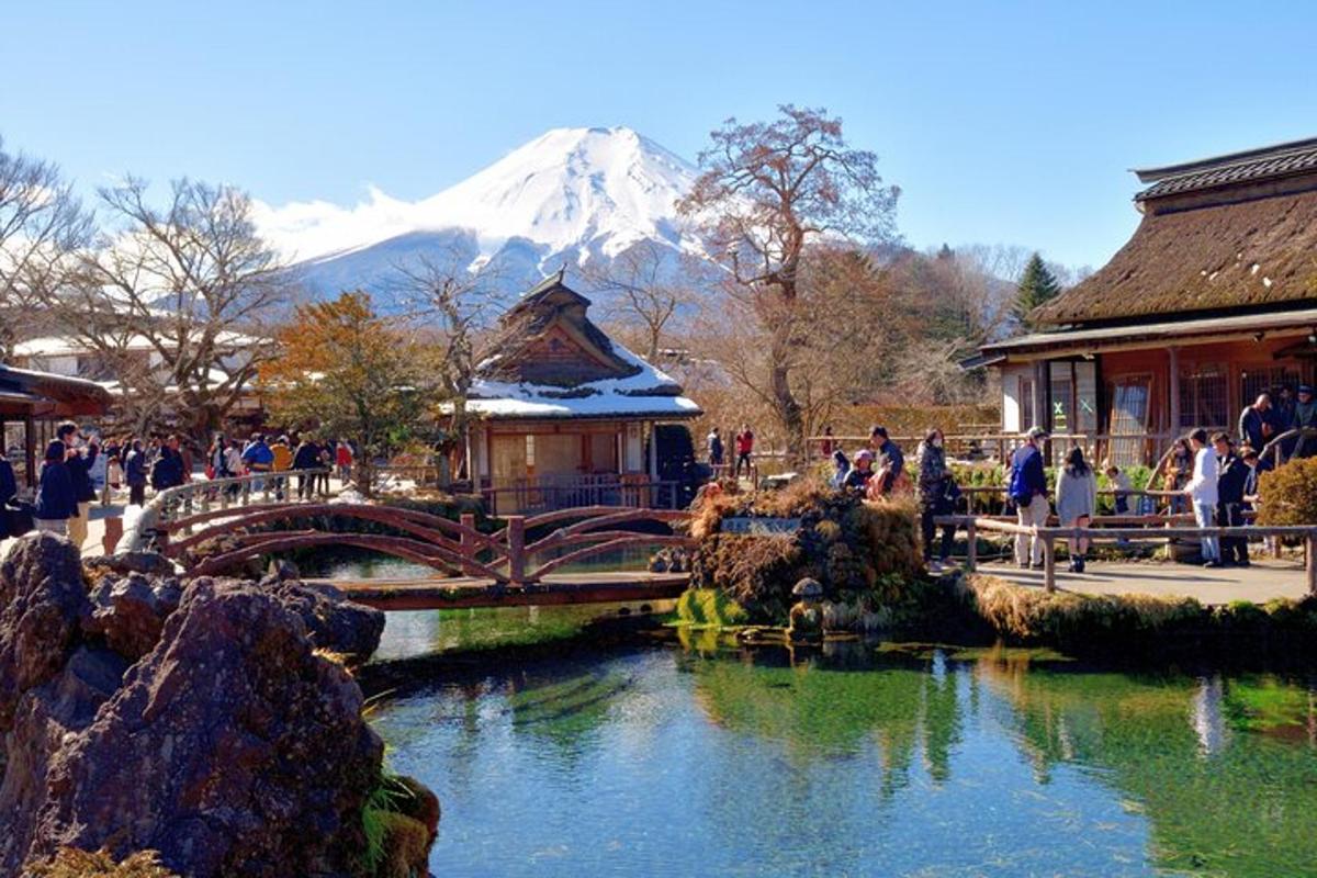 a group of people standing around a pond with a mountain in the background