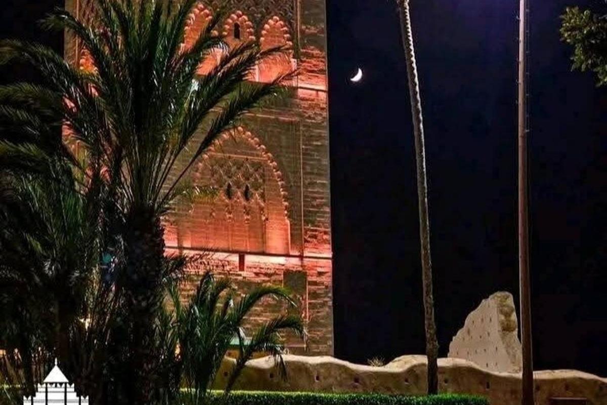 uma palmeira em frente a um prédio à noite