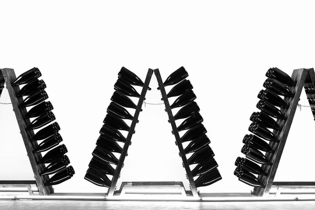 a row of empty wine bottles on a shelf
