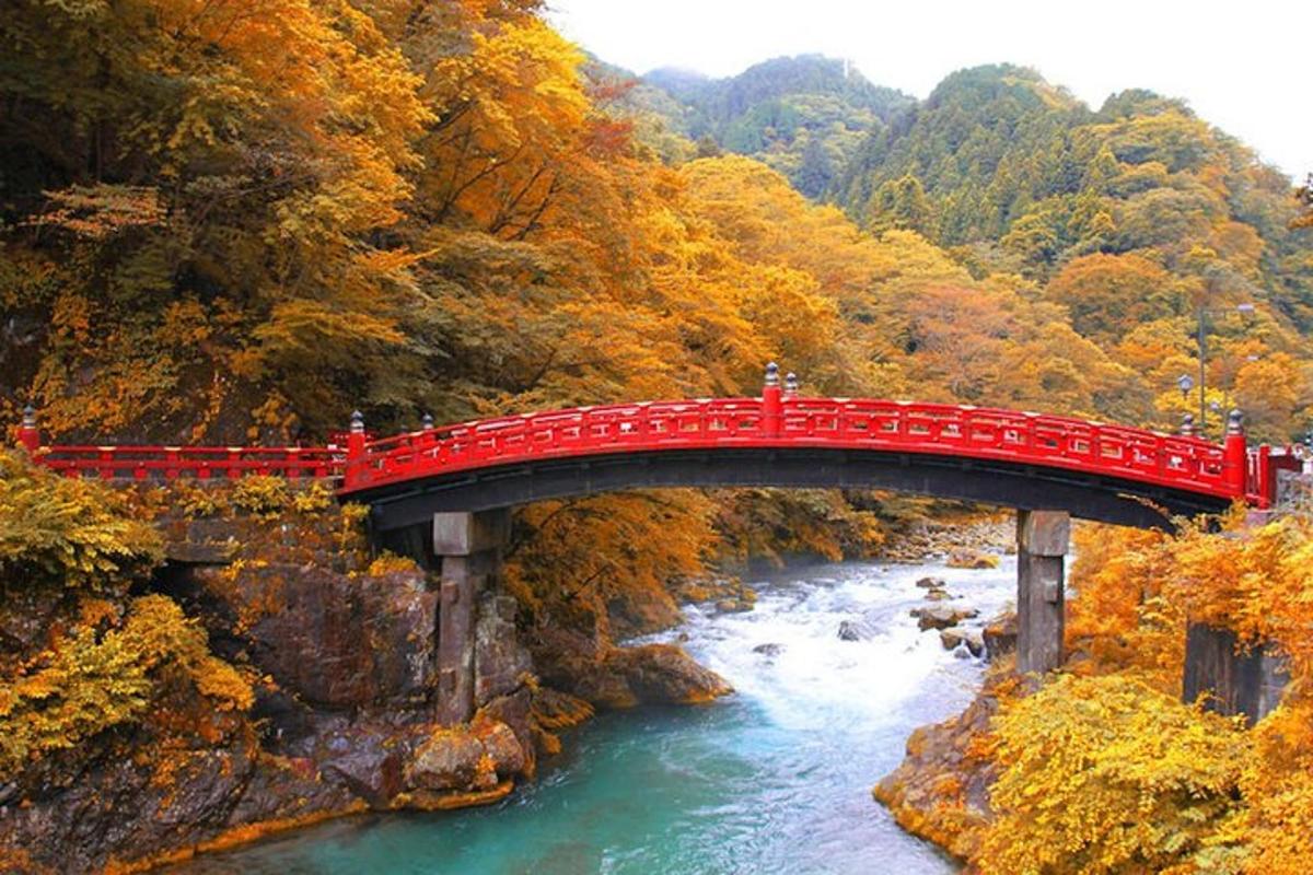 uma ponte vermelha sobre um rio em uma floresta