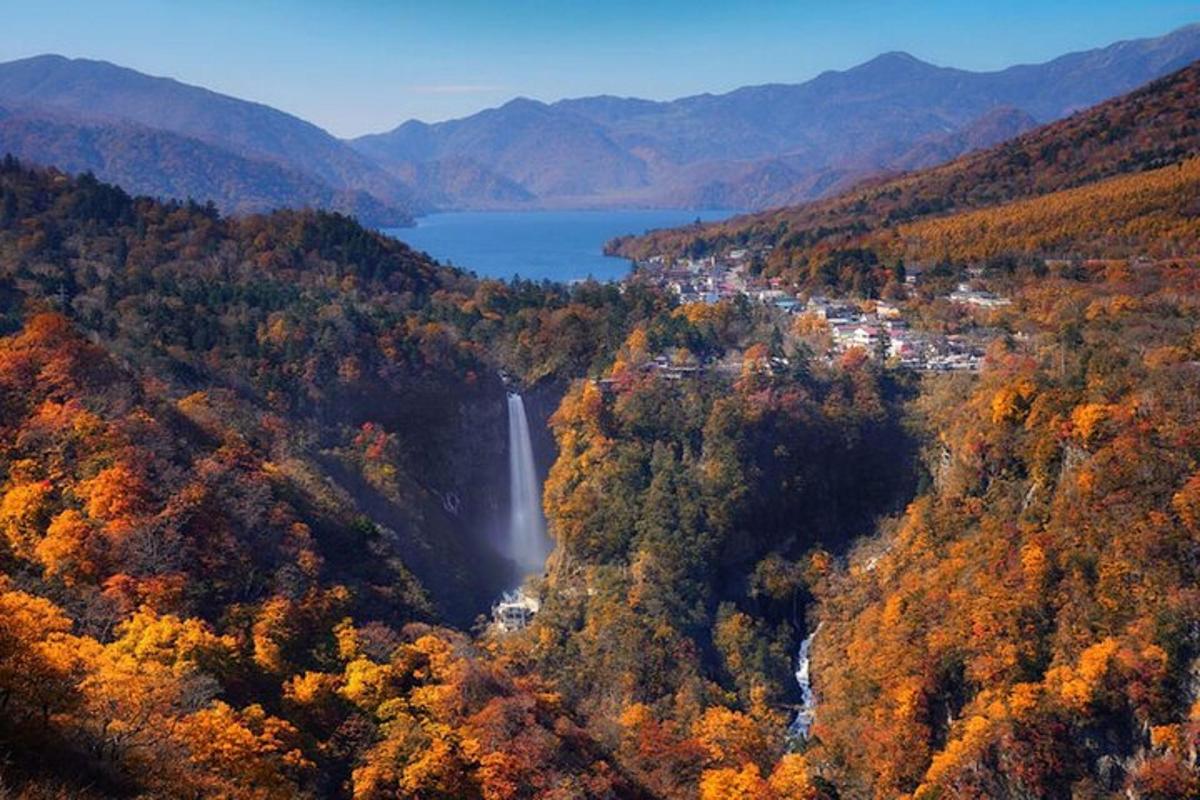 uma vista aérea de uma cachoeira em uma floresta