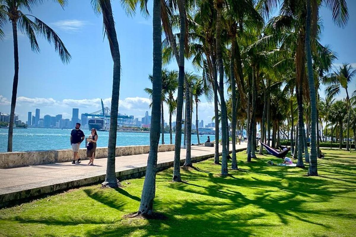 một nhóm cây cọ trên vỉa hè gần mặt nước