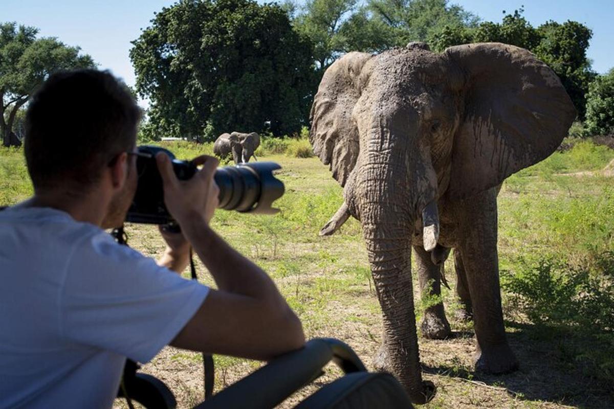 un uomo che scatta una foto di un elefante con una macchina fotografica