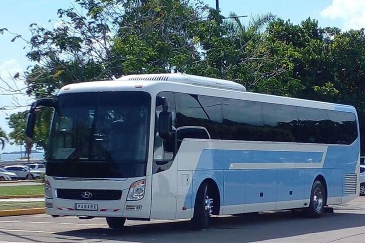 a white bus is parked in a parking lot