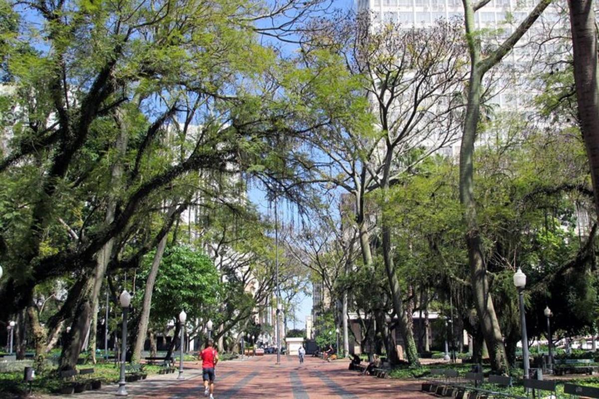 a person walking down a sidewalk in a park with trees