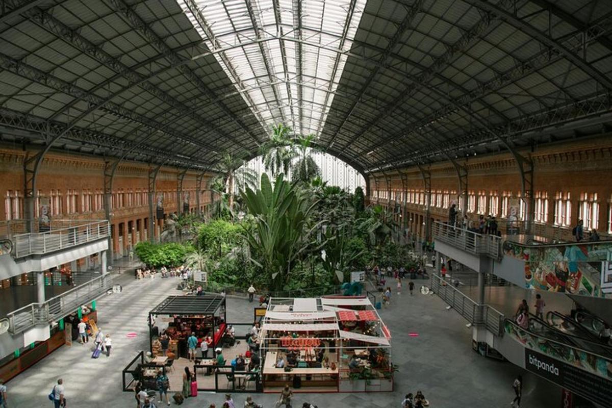 un grande edificio con una grande pianta al centro