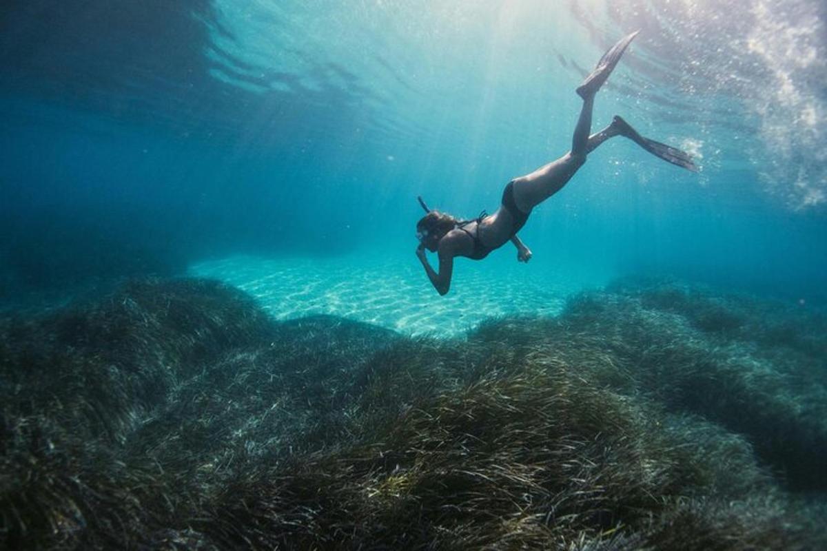 una donna sta nuotando nell'oceano sopra una barriera corallina