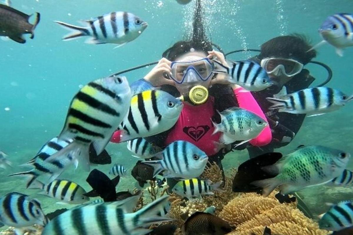 una persona fent una foto d'un grup de peixos