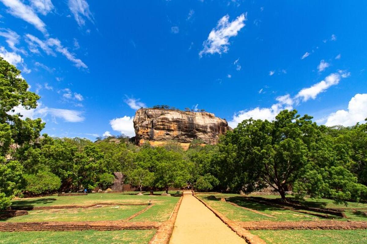 a path in a park with a rock in the background
