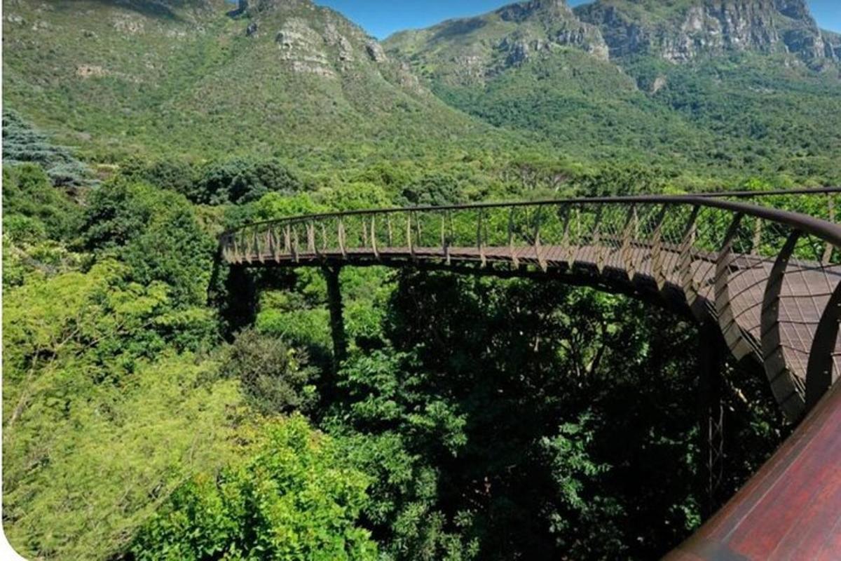 a bridge over a forest with a mountain in the background