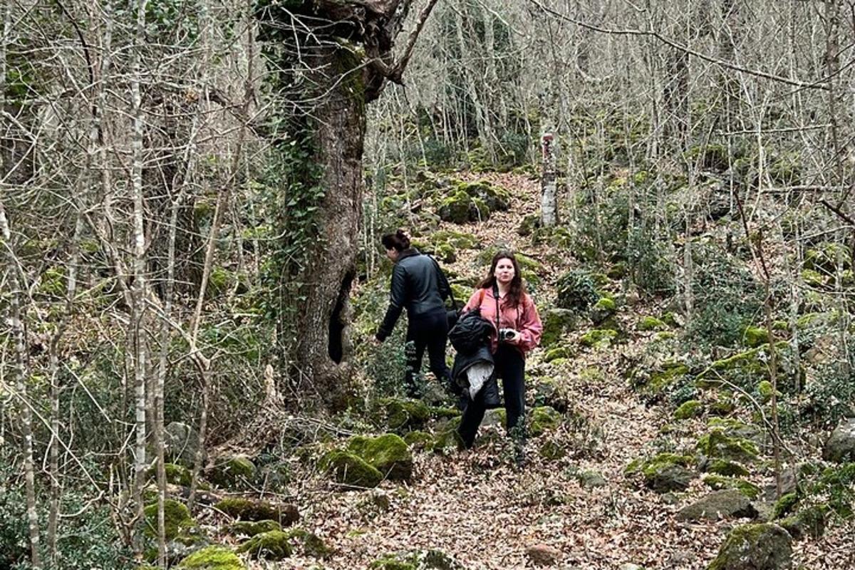 a man and a woman walking down a trail in the woods