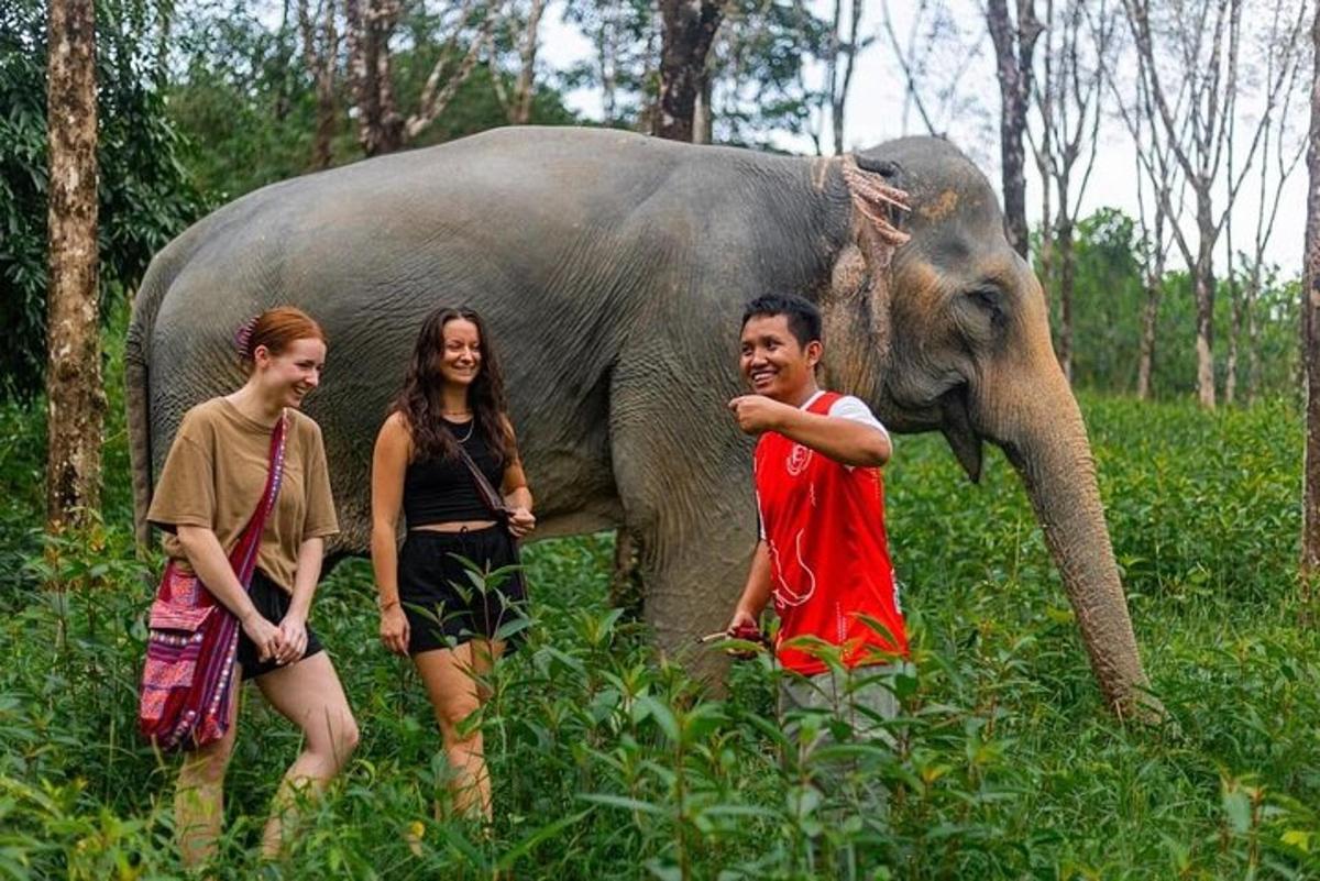tiga orang berdiri di hadapan seekor gajah
