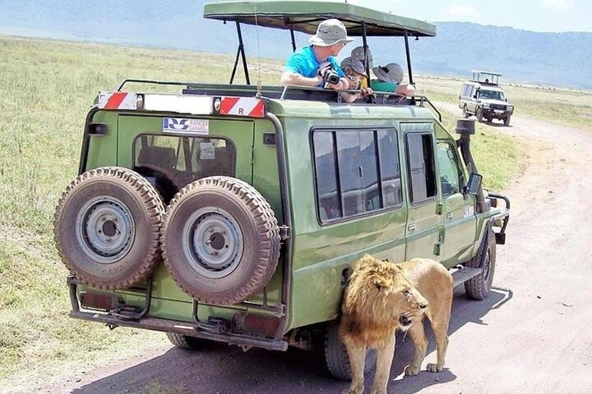 un home i un lleó drets al costat d'un jeep verd