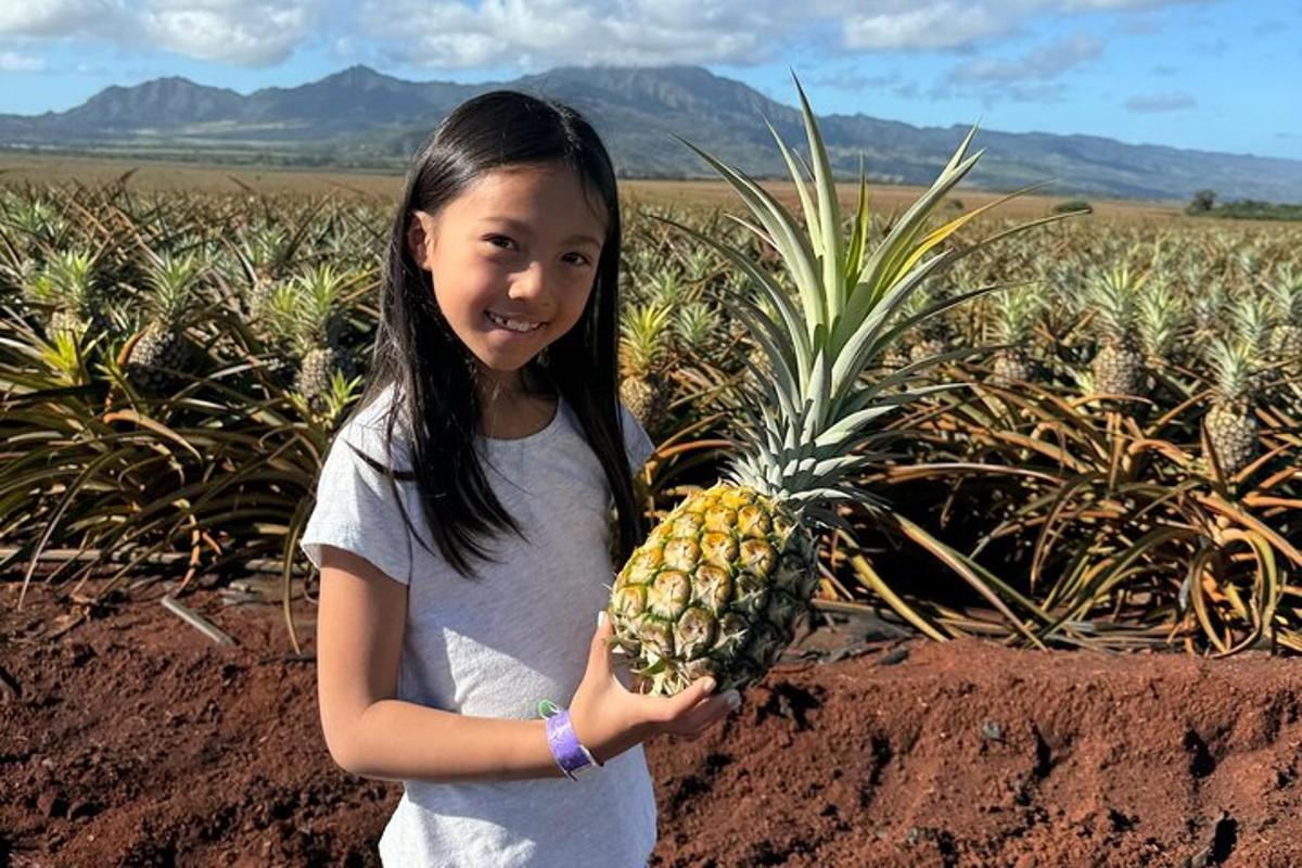 malá holčička držící ananas v poli
