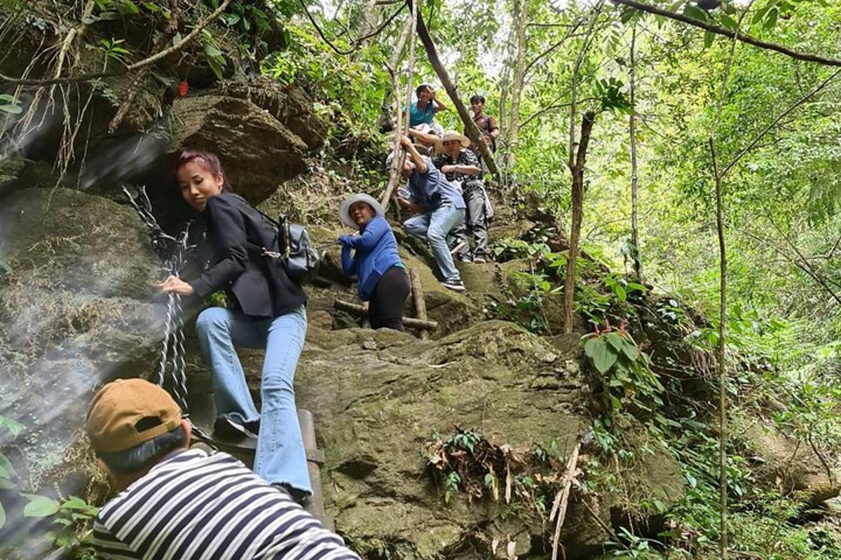 un gruppo di persone su un sentiero nella foresta