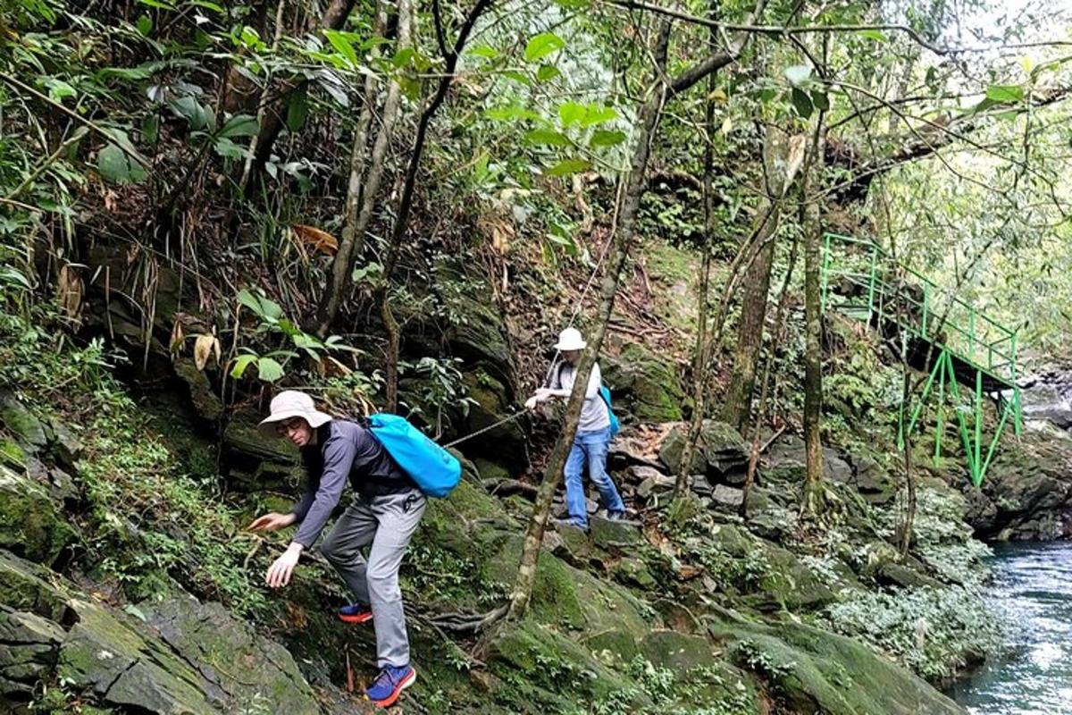 two people walking on a trail in the jungle