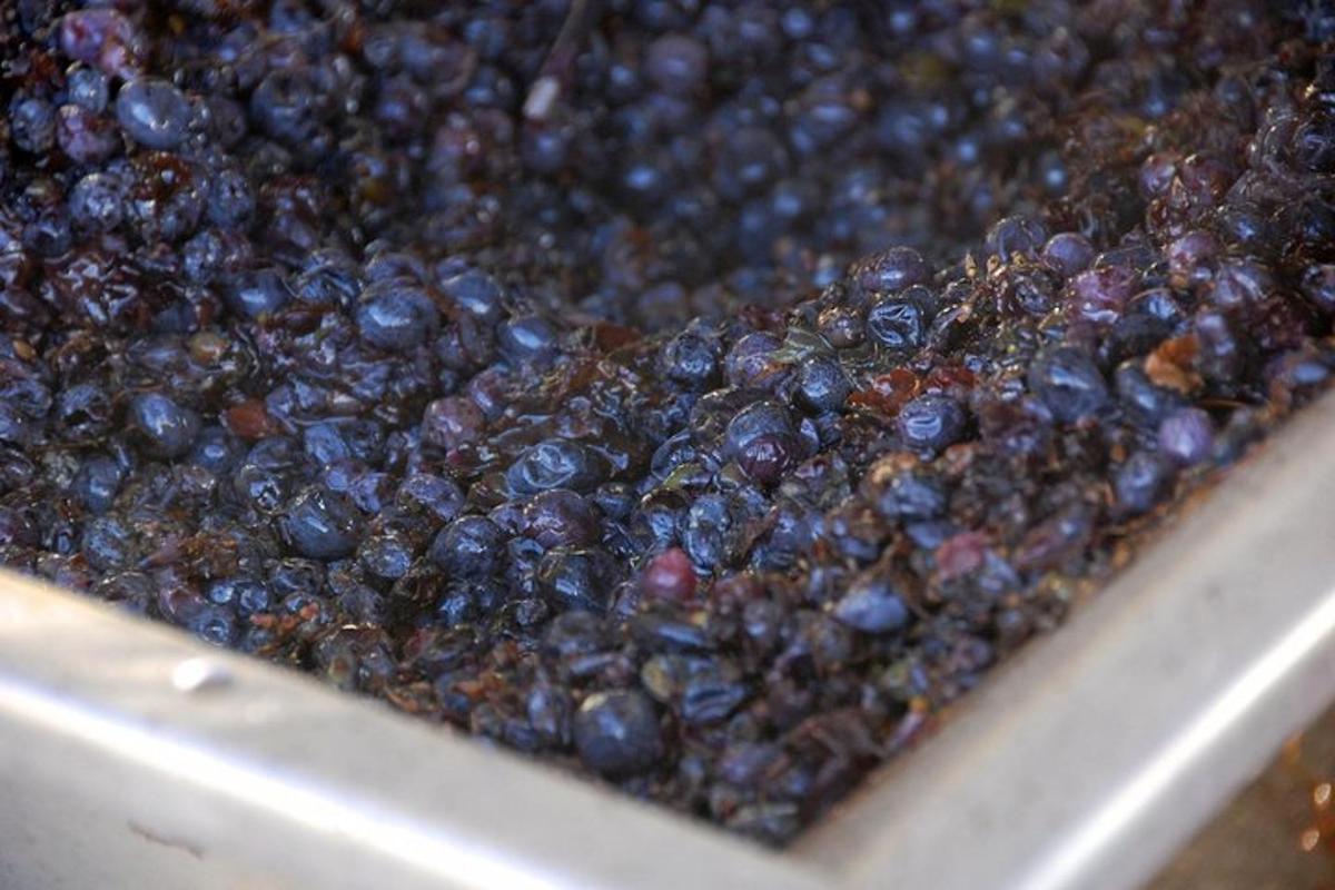 timbunan blueberry duduk dalam kotak