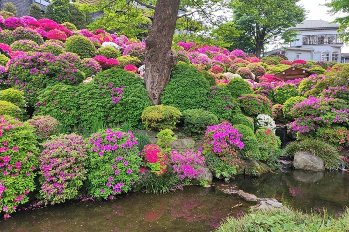 um jardim com flores rosas e roxas e um lago