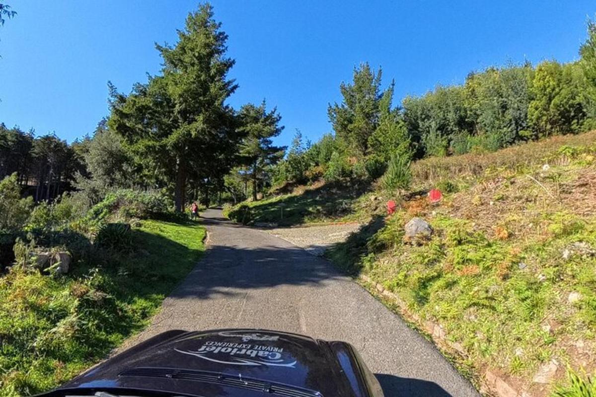 um carro dirigindo por uma estrada de terra