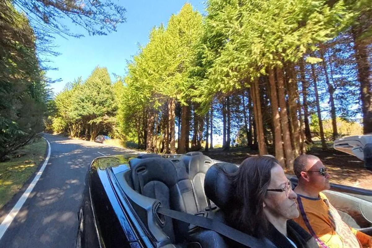 dois homens em um carro conversível dirigindo por uma estrada