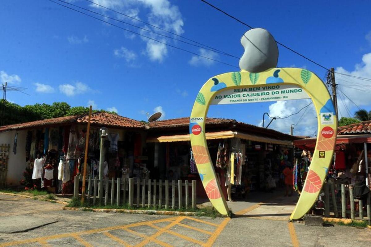 Foto 4 da atração