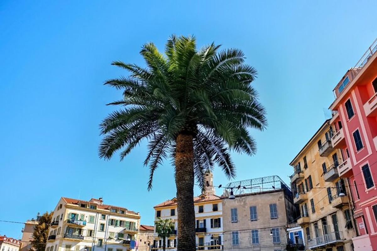 una palmera frente a unos edificios