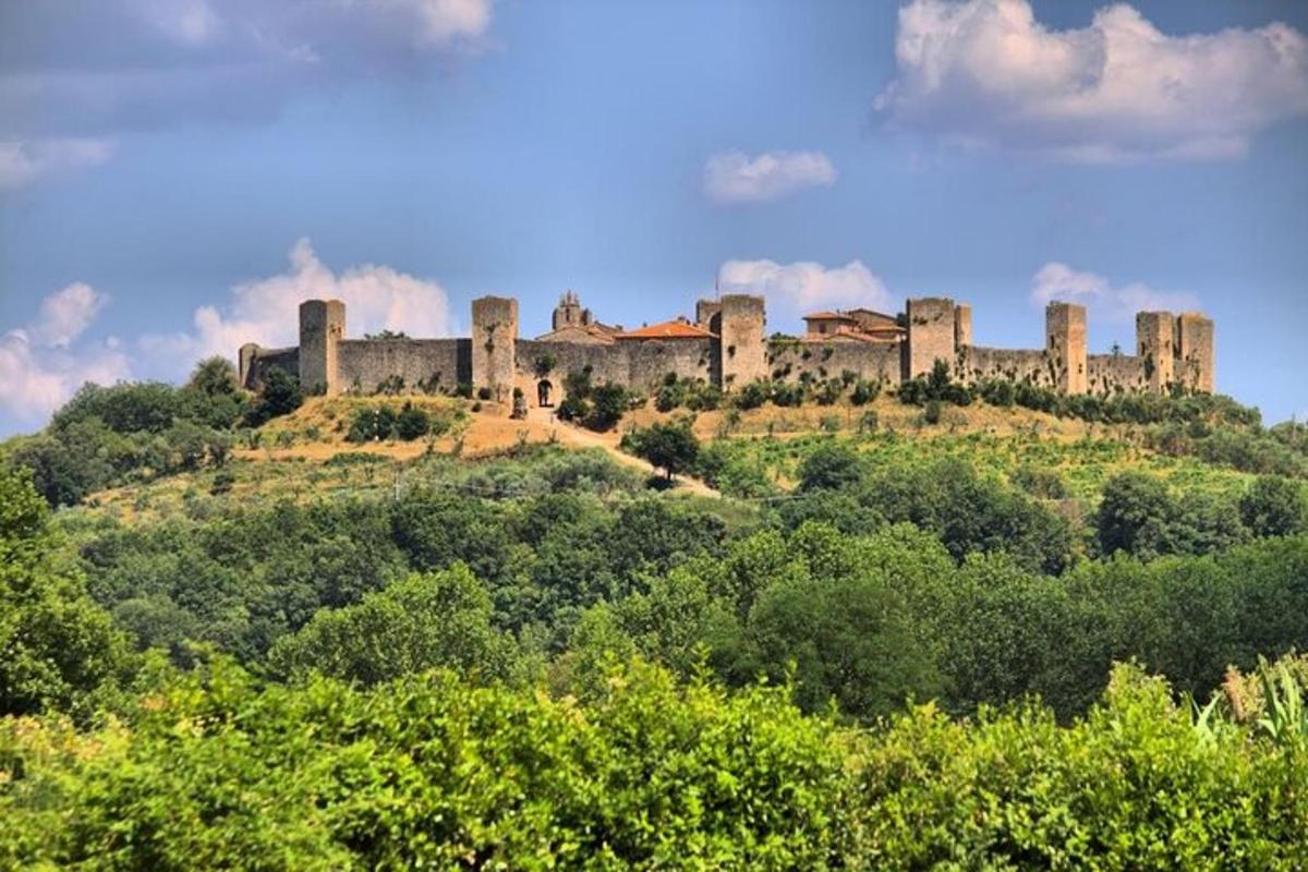 a castle on top of a hill with trees
