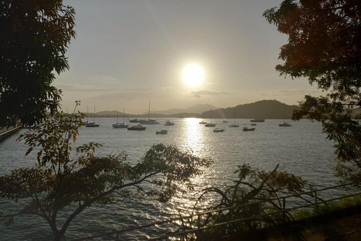 a group of boats in the water at sunset