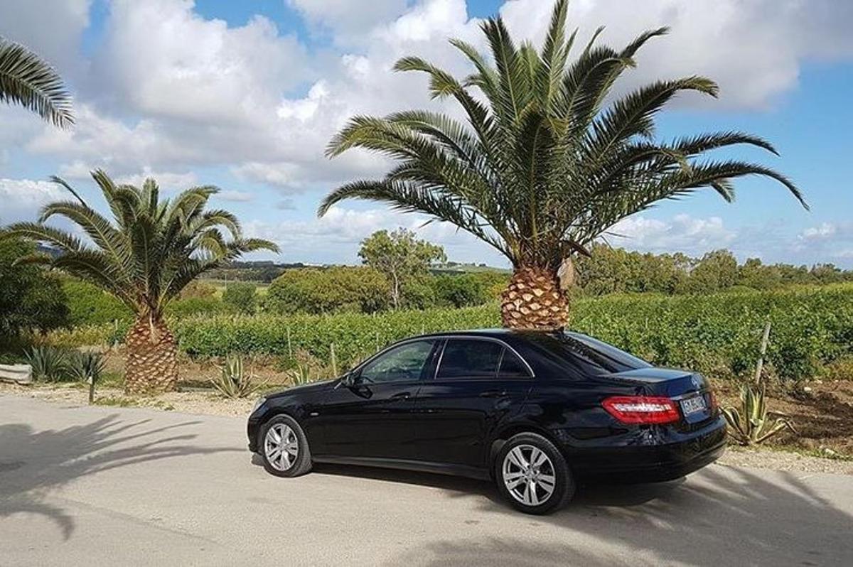a black car with a palm tree on top of it