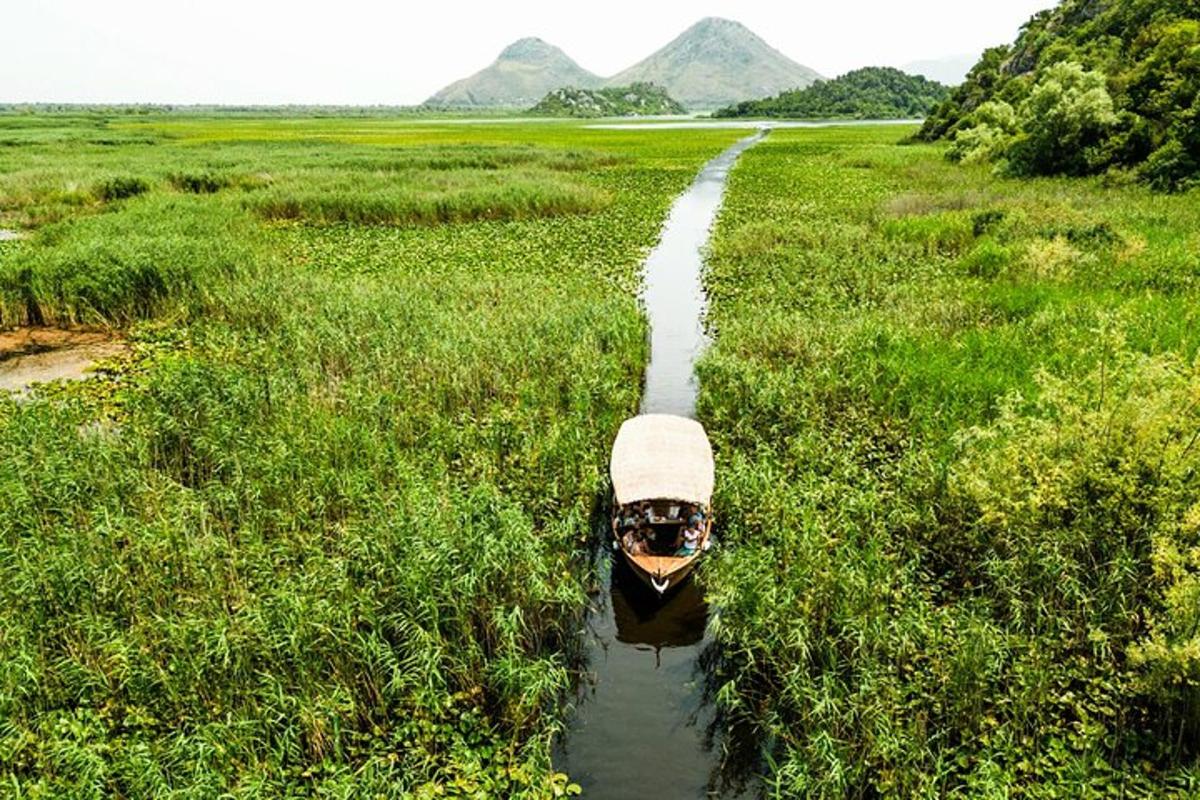 một chiếc thuyền ở giữa một cánh đồng cỏ