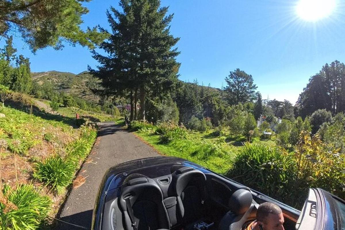Un grupo de personas en un coche conduciendo por una carretera