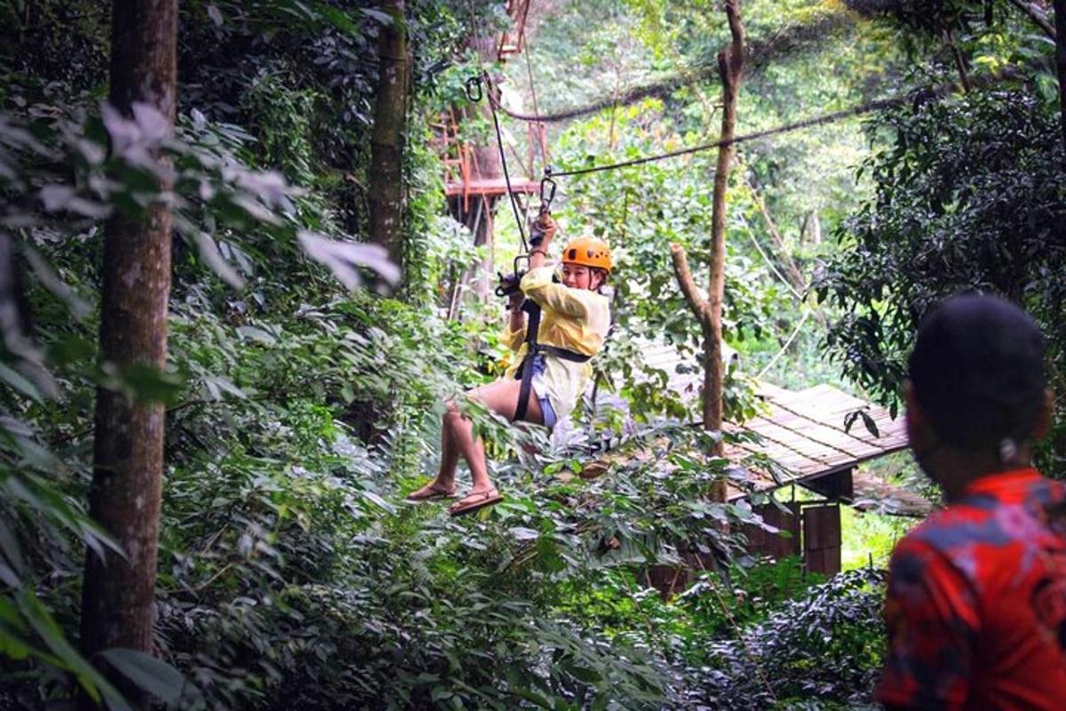 a person on a zip line in the jungle