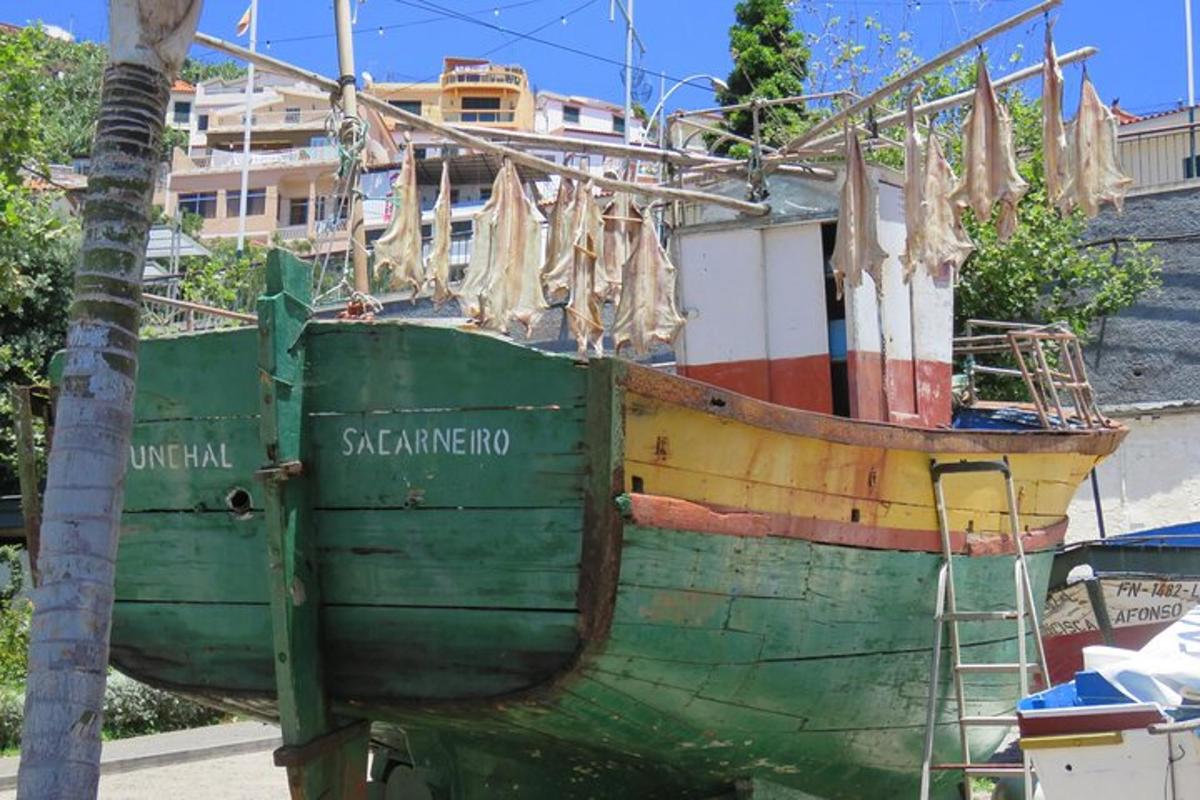 um barco que está parado ao lado de uma árvore
