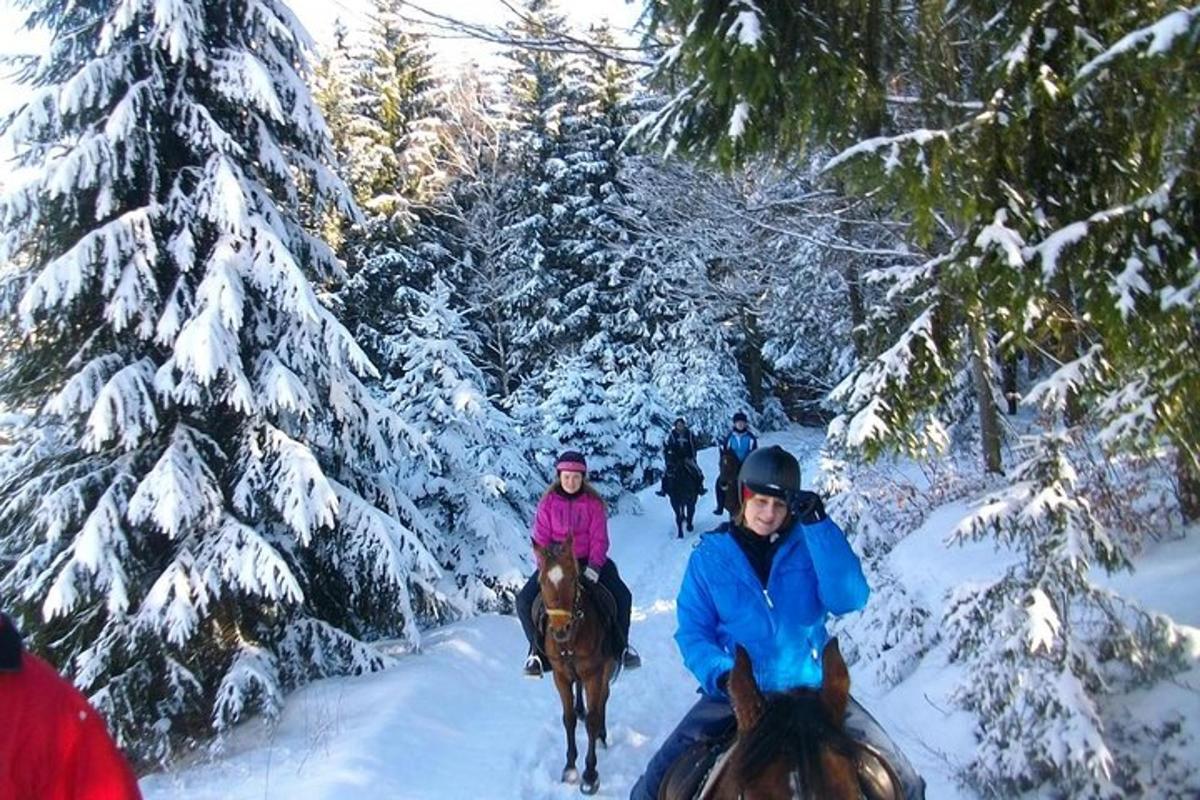 Un grupo de personas montando a caballo en la nieve.