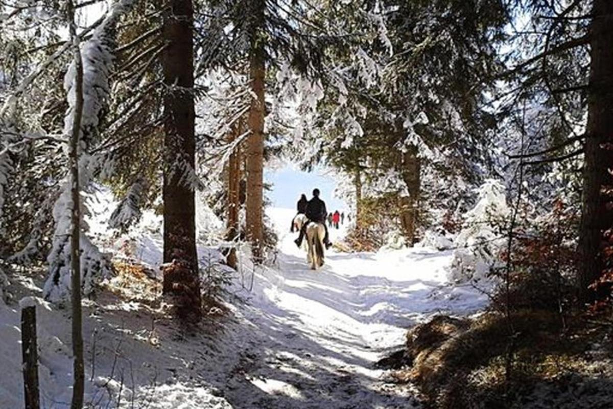 una persona montando a caballo por un sendero cubierto de nieve