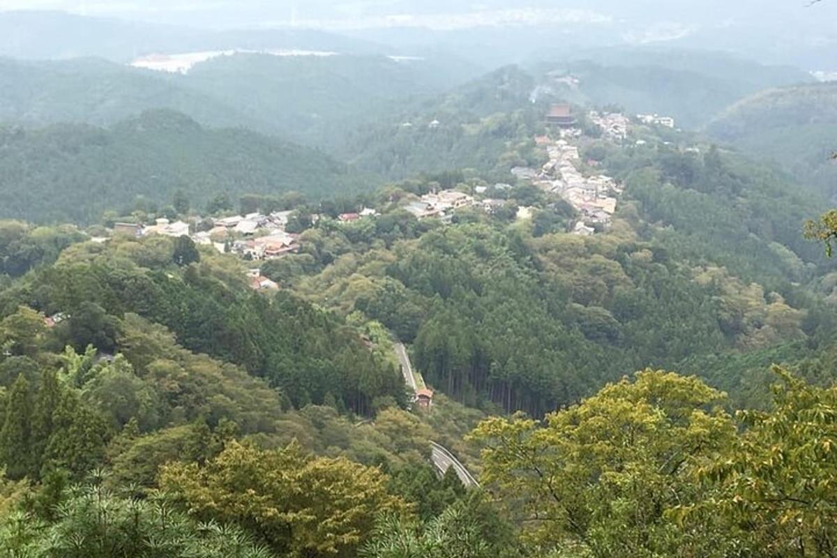 pogled na mesto sredi gozda