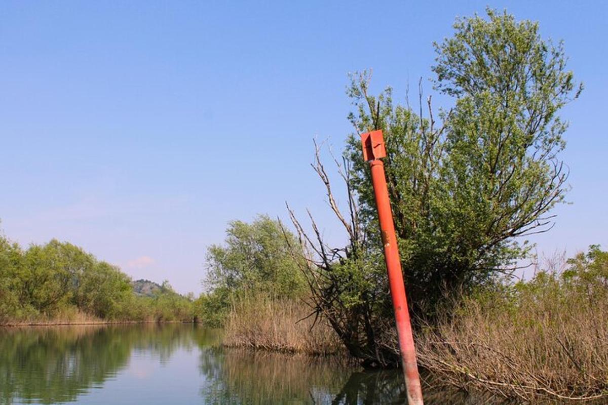 oranž post keset jõge