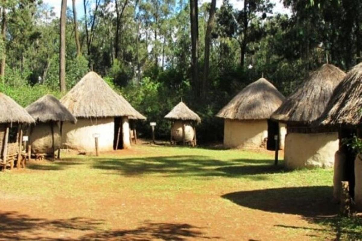 a group of huts with straw roofs in a field