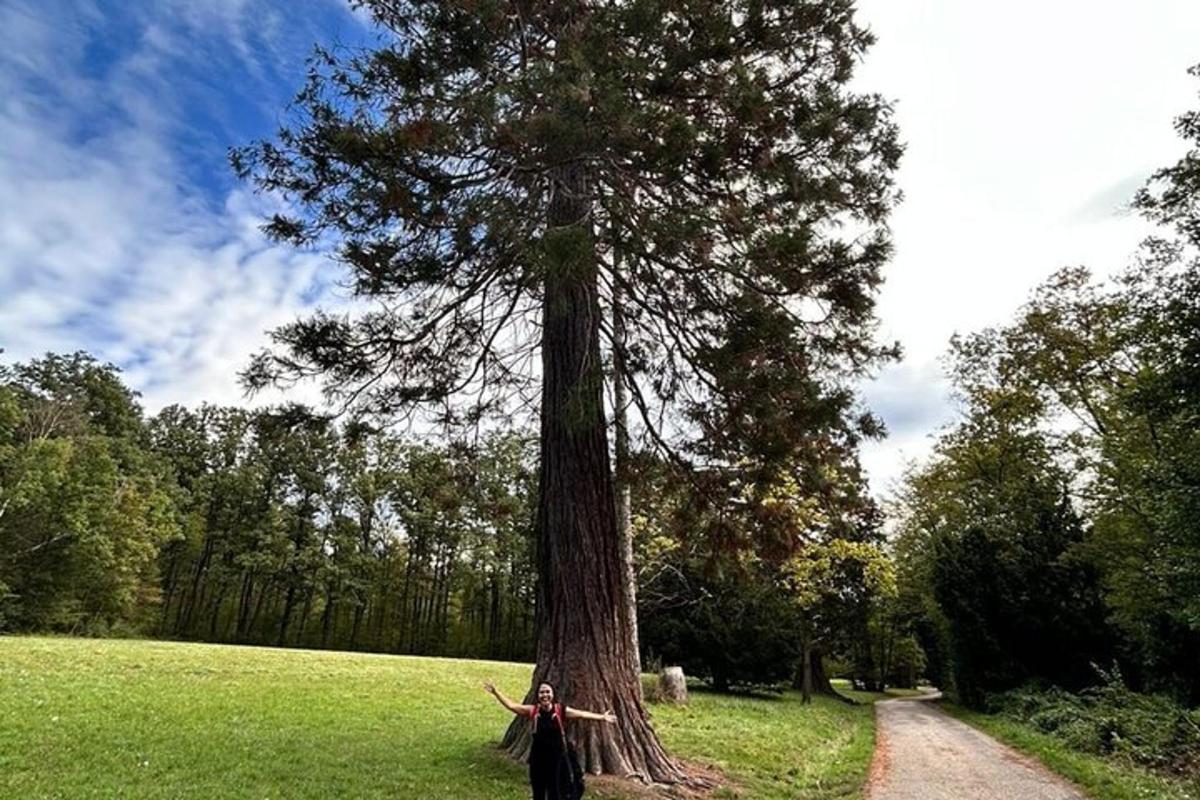 una donna in piedi accanto a un grande albero