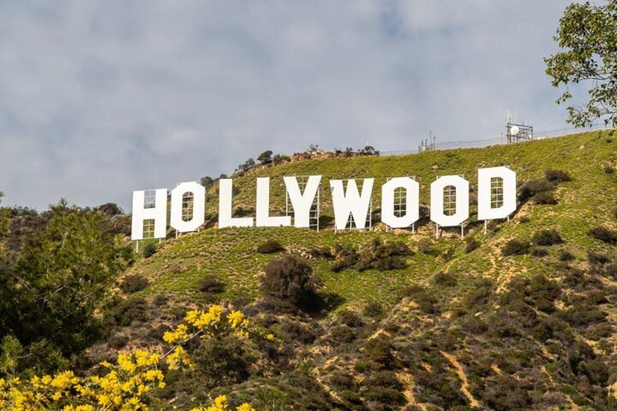 hollywoodský nápis na vrcholu kopce s květinami
