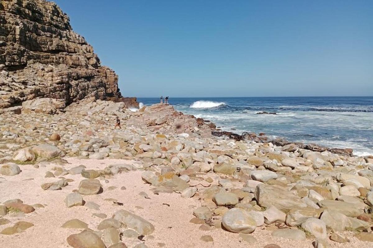 海の近くのビーチにある岩の群れ