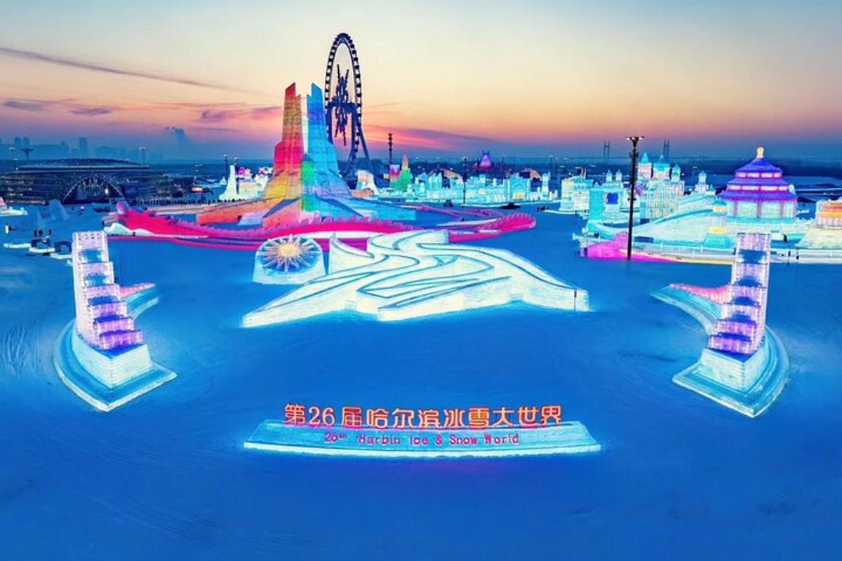a display of an amusement park at night