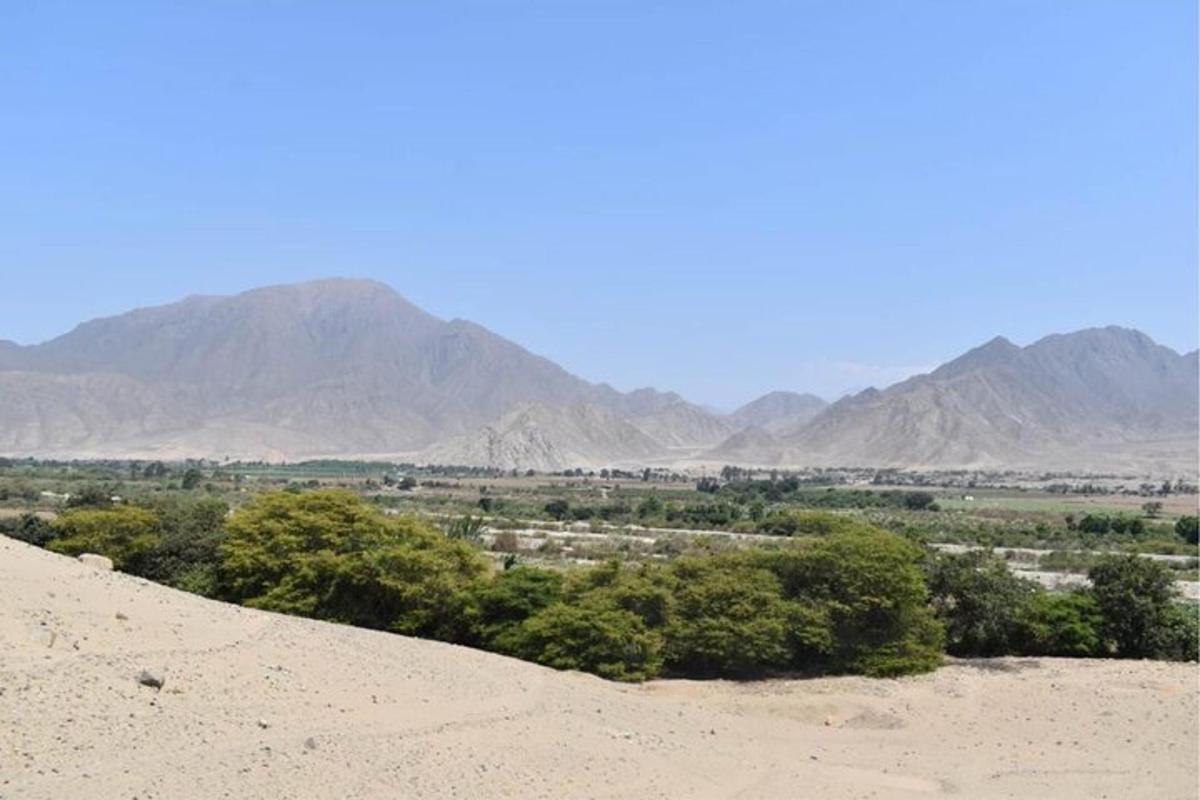 a view of a desert with mountains in the background