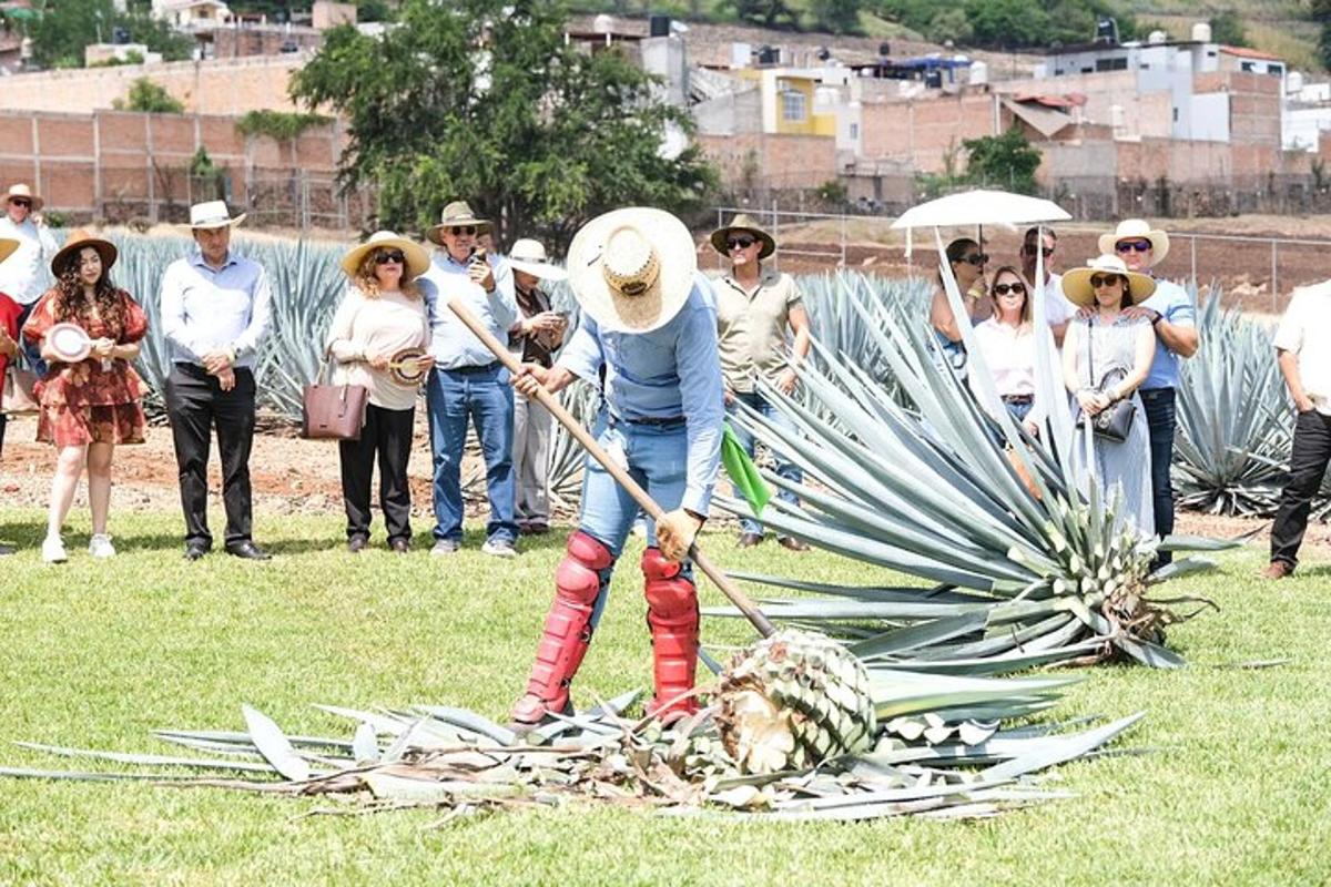 skupina lidí stojících kolem osoby krájející ananas