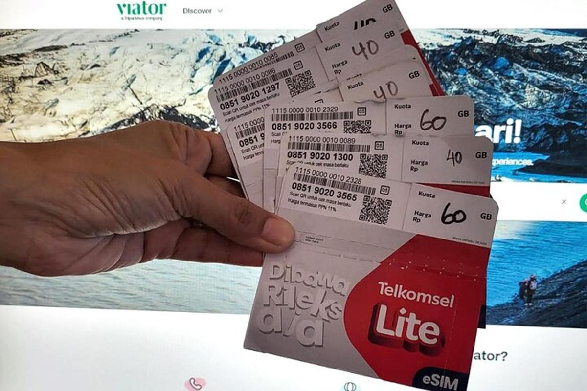 una persona che detiene un biglietto per un tour