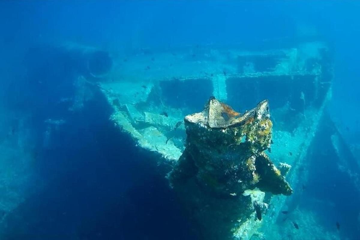 una vista subacquea di una barriera corallina in acqua