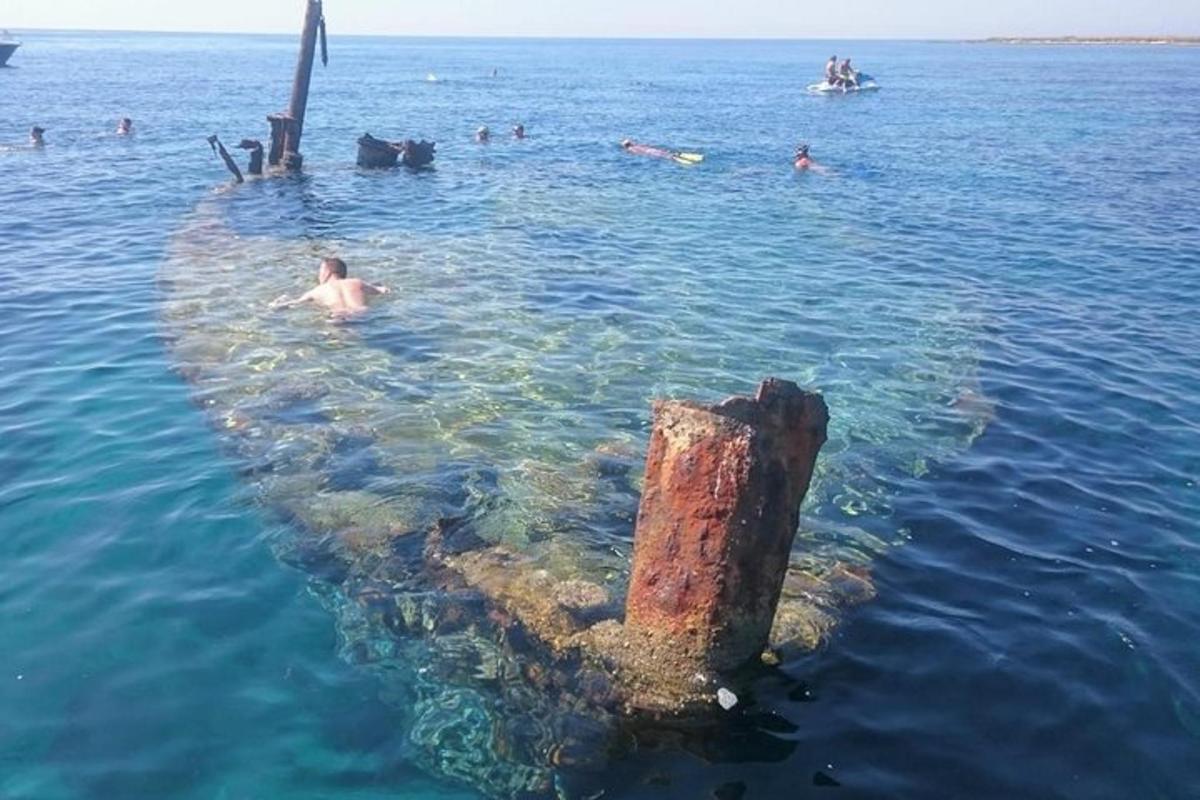一群人在海里游泳