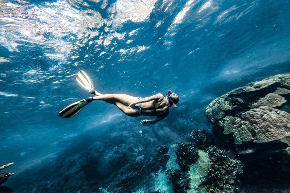 a person swimming in the water with a paddle